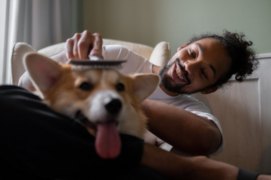 Hombre cepillando perro - como limpiar el pelo de las mascotas de casa